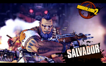 Картинка видео игры borderlands 2