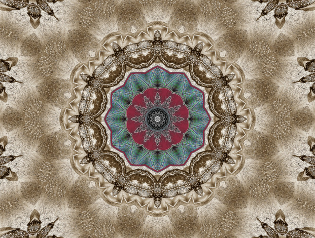 Обои картинки фото 3д, графика, fractal, фракталы, цвета, узор, фон