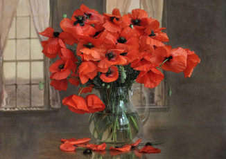 Картинка цветы маки букет