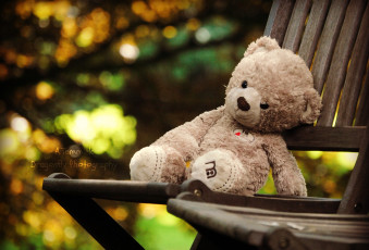 Картинка разное игрушки медвежонок