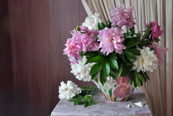 Картинка цветы пионы букет