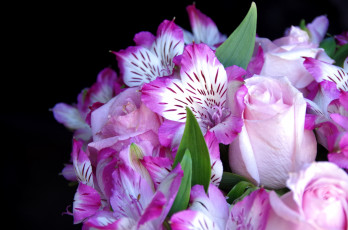 Картинка цветы букеты композиции альстромерия розы