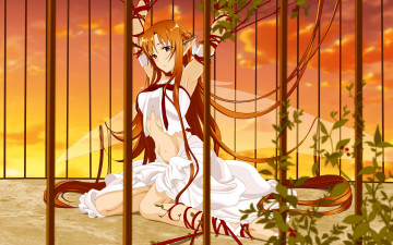 Картинка аниме sword art online asuna yuki длинные волосы веревка клетка