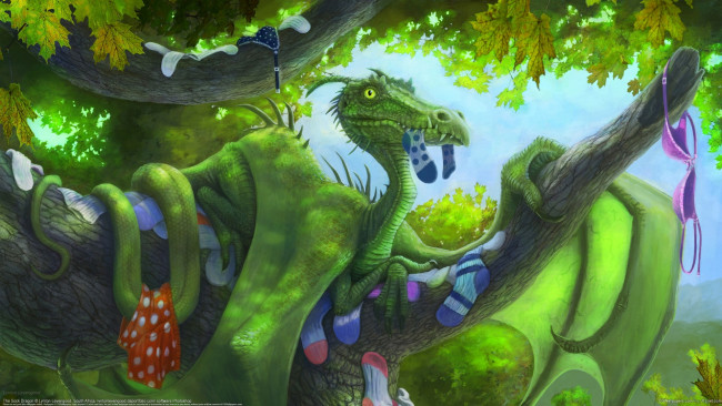 Обои картинки фото lynton, levengood, фэнтези, драконы, носки, дерево