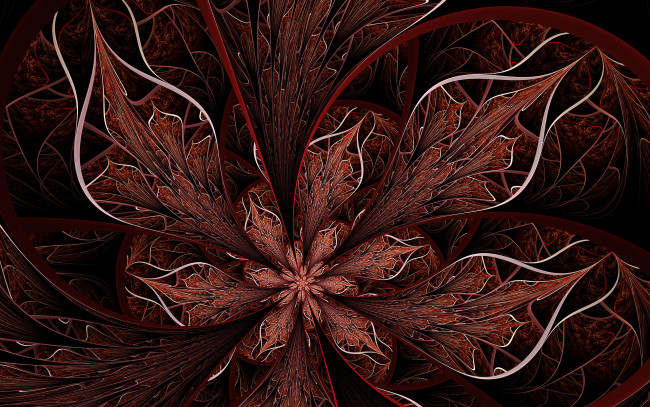 Обои картинки фото 3д, графика, fractal, фракталы, цвета, фон, узор
