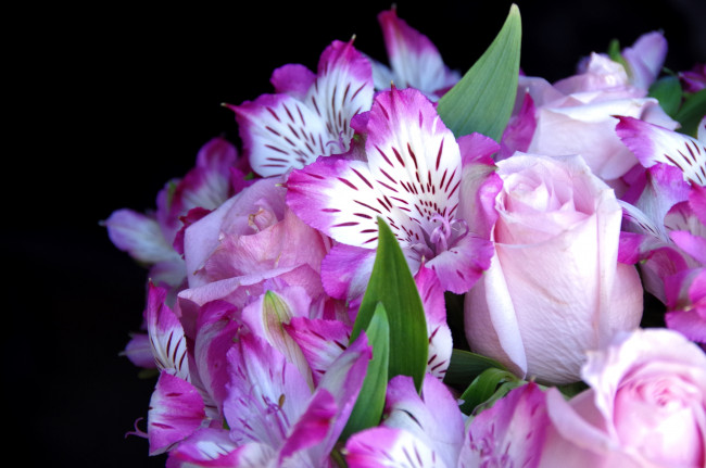 Обои картинки фото цветы, букеты, композиции, альстромерия, розы