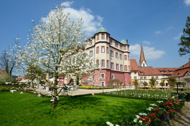 Обои картинки фото германия, донцдорф, города, улицы, площади, набережные, площадь, дома, цветы