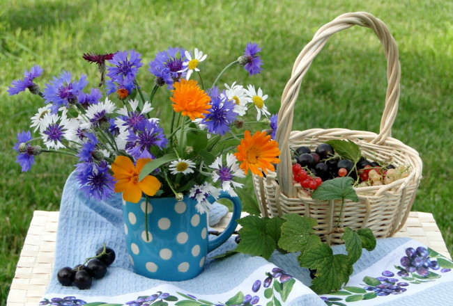 Обои картинки фото еда, смородина, корзинка, васильки, календула