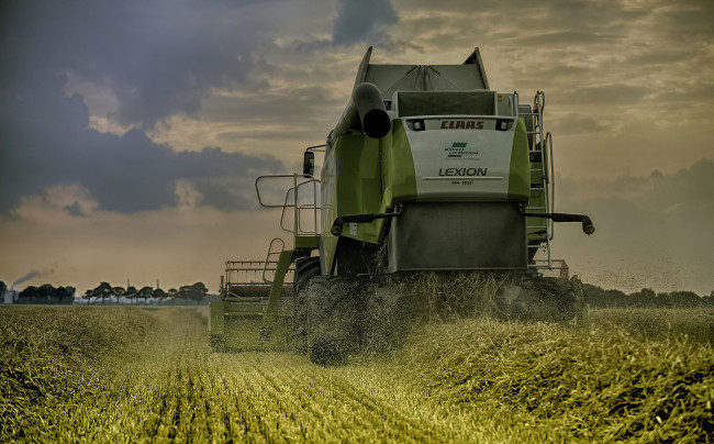 Обои картинки фото техника, комбайны, комбайн, поле