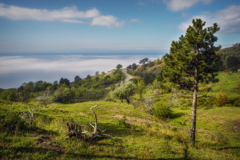 Картинка природа пейзажи простор