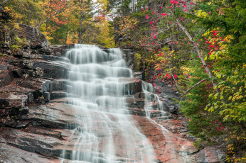 Картинка природа водопады лес река водопад