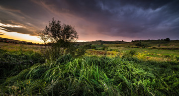 Картинка природа пейзажи простор