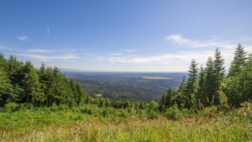 Картинка природа пейзажи простор