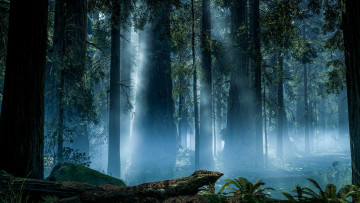 Картинка видео+игры star+wars +battlefront лес