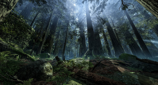 Обои картинки фото видео игры, star wars,  battlefront, лес