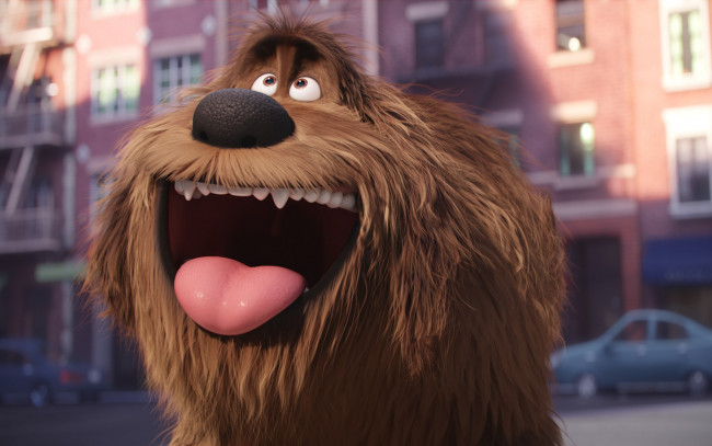 Обои картинки фото мультфильмы, the secret life of pets, персонаж
