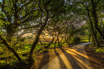 Картинка природа дороги рассвет