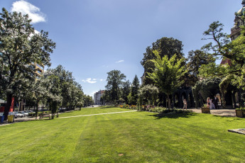 Картинка природа парк деревья лужайки аллея