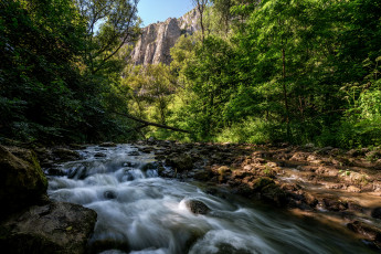 Картинка природа реки озера лес река