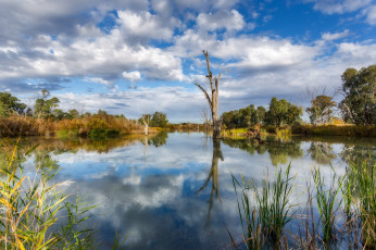 Картинка природа реки озера река лес