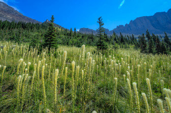 Картинка природа пейзажи простор