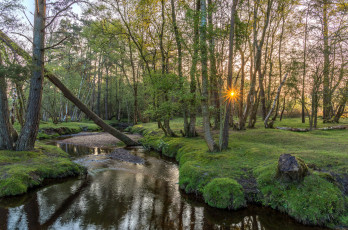 Картинка природа реки озера рассвет