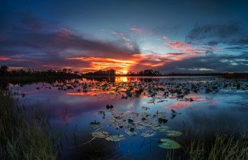 Картинка природа реки озера река лес