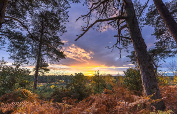 Картинка природа восходы закаты простор