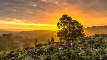 Картинка природа восходы закаты рассвет