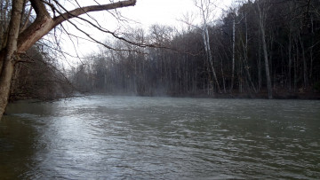 Картинка природа реки озера весна деревья река вода