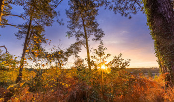 Картинка природа восходы закаты простор