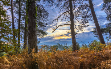 Картинка природа пейзажи простор