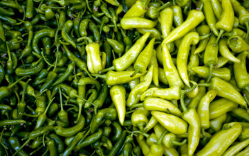 Картинка еда перец чили урожай острый много зеленый