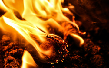 Картинка природа огонь пламя