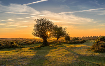 Картинка природа пейзажи рассвет