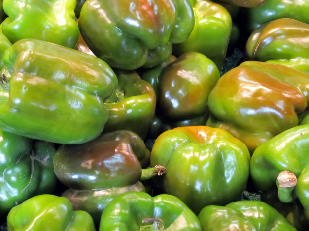 Обои картинки фото еда, перец, много, урожай, зеленый