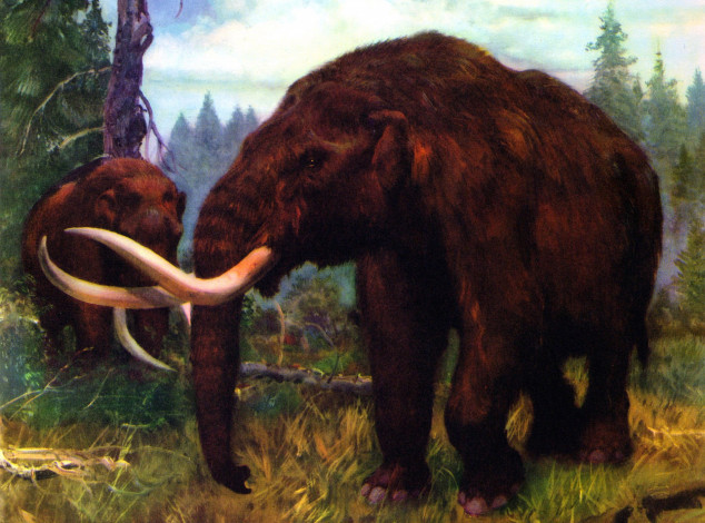 Обои картинки фото рисованное, животные, растения, деревья, мамонт