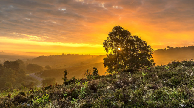 Обои картинки фото природа, восходы, закаты, рассвет