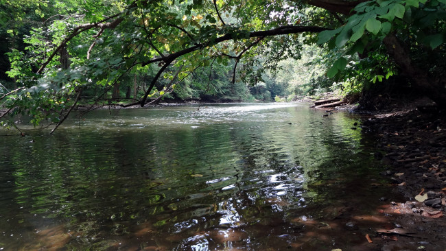 Обои картинки фото природа, реки, озера, лето, река, деревья