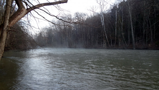 Обои картинки фото природа, реки, озера, весна, деревья, река, вода