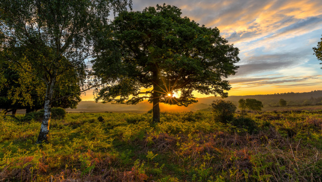 Обои картинки фото природа, восходы, закаты, рассвет