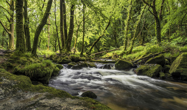 Обои картинки фото природа, реки, озера, лес, речка, водопад, камни