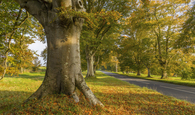 Обои картинки фото природа, дороги, простор