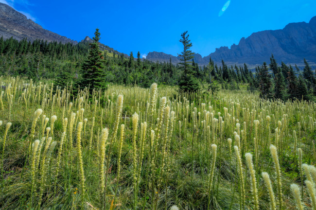 Обои картинки фото природа, пейзажи, простор