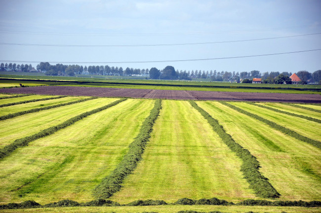 Обои картинки фото природа, поля, поле, скошенное