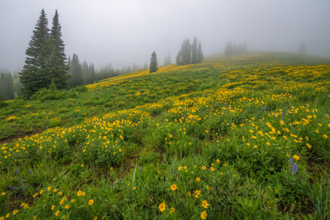 Обои картинки фото природа, пейзажи, простор