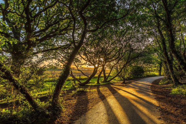 Обои картинки фото природа, дороги, рассвет