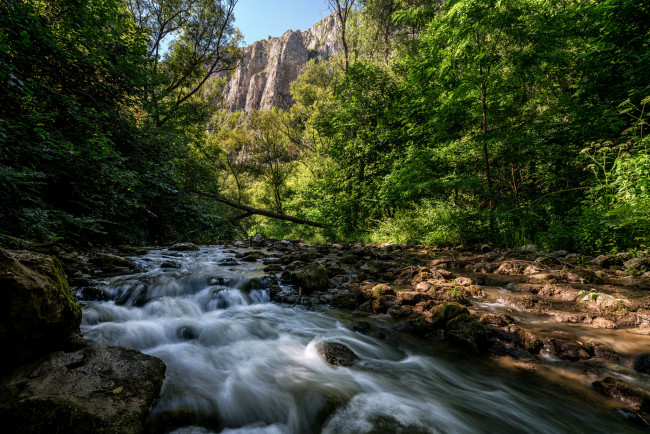 Обои картинки фото природа, реки, озера, лес, река