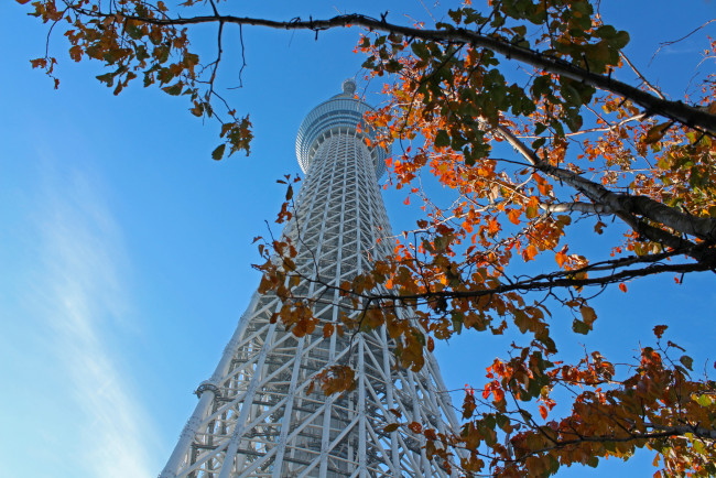 Обои картинки фото tokyo, города, токио , Япония, небоскребы, панорама
