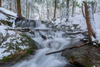 Картинка природа реки озера простор
